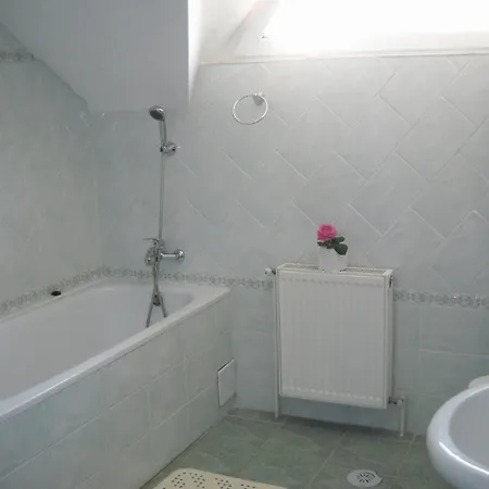 Гостевой дом La Noblesse Бухарест